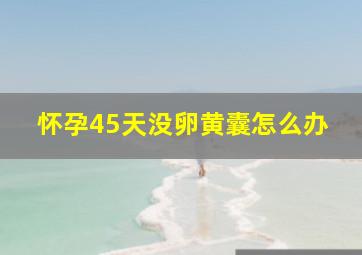 怀孕45天没卵黄囊怎么办