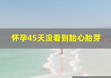 怀孕45天没看到胎心胎芽