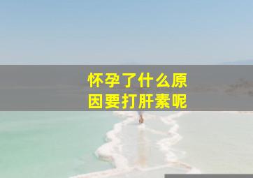 怀孕了什么原因要打肝素呢