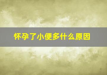 怀孕了小便多什么原因