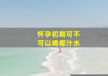 怀孕初期可不可以喝椰汁水