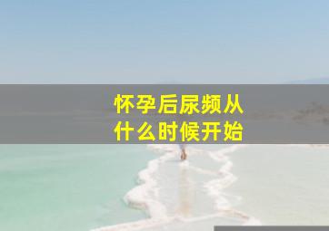 怀孕后尿频从什么时候开始