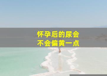 怀孕后的尿会不会偏黄一点