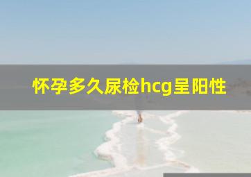 怀孕多久尿检hcg呈阳性