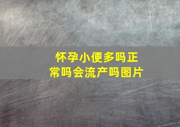 怀孕小便多吗正常吗会流产吗图片