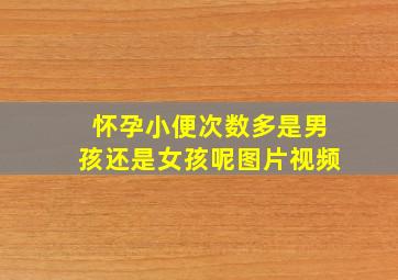 怀孕小便次数多是男孩还是女孩呢图片视频