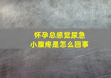 怀孕总感觉尿急小腹疼是怎么回事