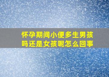 怀孕期间小便多生男孩吗还是女孩呢怎么回事