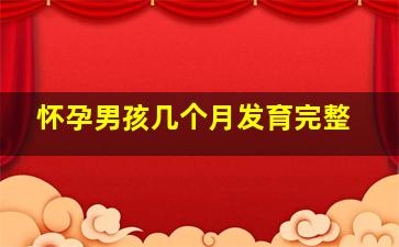 怀孕男孩几个月发育完整