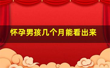 怀孕男孩几个月能看出来