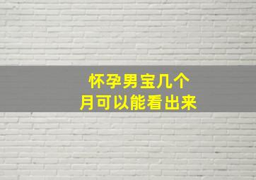 怀孕男宝几个月可以能看出来