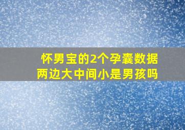 怀男宝的2个孕囊数据两边大中间小是男孩吗