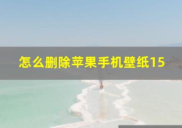 怎么删除苹果手机壁纸15