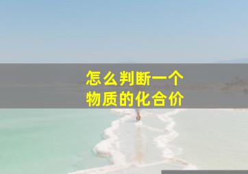 怎么判断一个物质的化合价