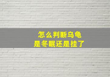 怎么判断乌龟是冬眠还是挂了