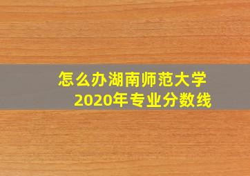 怎么办湖南师范大学2020年专业分数线