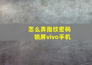 怎么弄指纹密码锁屏vivo手机