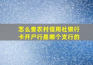 怎么查农村信用社银行卡开户行是哪个支行的