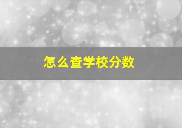 怎么查学校分数