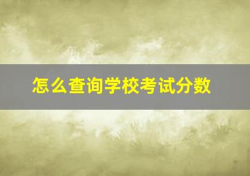 怎么查询学校考试分数