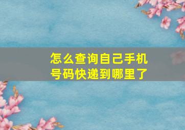 怎么查询自己手机号码快递到哪里了