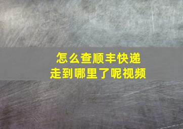 怎么查顺丰快递走到哪里了呢视频