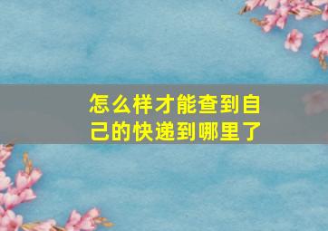 怎么样才能查到自己的快递到哪里了