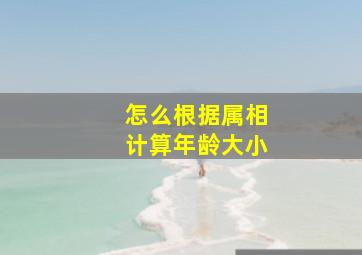 怎么根据属相计算年龄大小