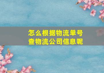 怎么根据物流单号查物流公司信息呢