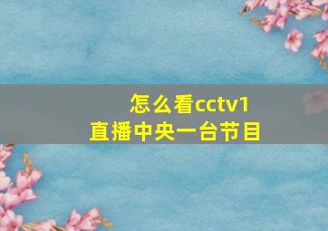 怎么看cctv1直播中央一台节目