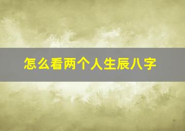 怎么看两个人生辰八字