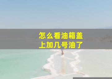 怎么看油箱盖上加几号油了