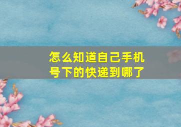 怎么知道自己手机号下的快递到哪了