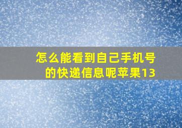 怎么能看到自己手机号的快递信息呢苹果13