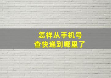 怎样从手机号查快递到哪里了