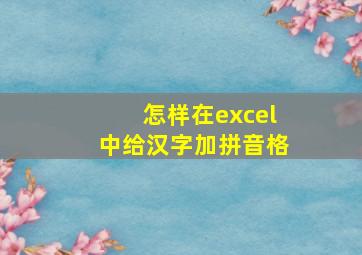 怎样在excel中给汉字加拼音格