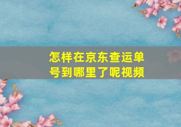 怎样在京东查运单号到哪里了呢视频