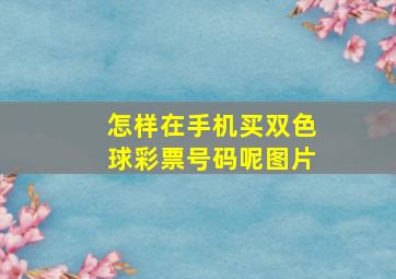 怎样在手机买双色球彩票号码呢图片