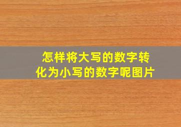 怎样将大写的数字转化为小写的数字呢图片