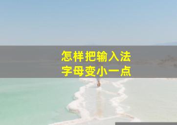 怎样把输入法字母变小一点