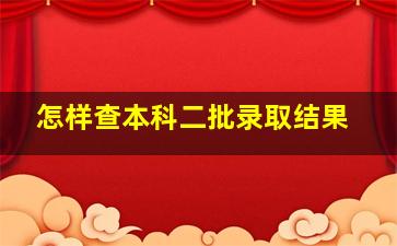 怎样查本科二批录取结果