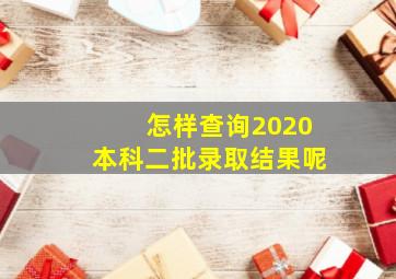 怎样查询2020本科二批录取结果呢