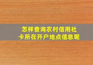 怎样查询农村信用社卡所在开户地点信息呢