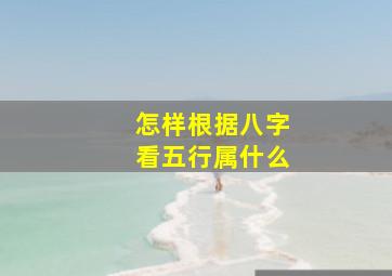 怎样根据八字看五行属什么