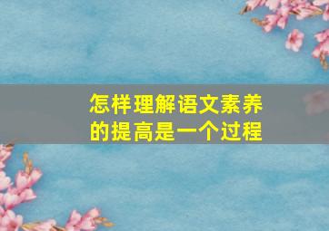 怎样理解语文素养的提高是一个过程