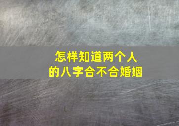 怎样知道两个人的八字合不合婚姻