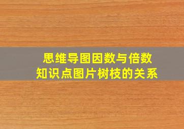 思维导图因数与倍数知识点图片树枝的关系