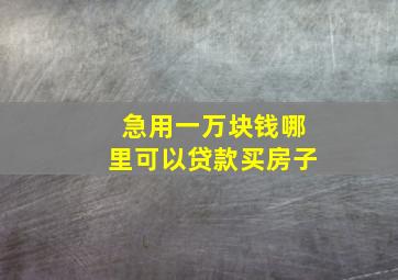 急用一万块钱哪里可以贷款买房子