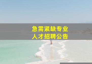 急需紧缺专业人才招聘公告