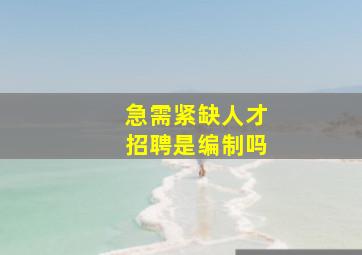 急需紧缺人才招聘是编制吗